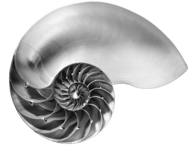 Nautilus Logo